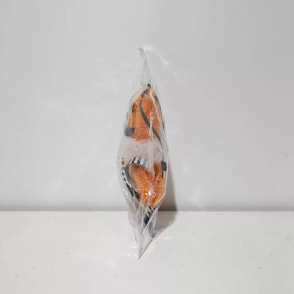 1931835c-e0c0-4c4e-9071-8e037b5d744c-Max-Origin