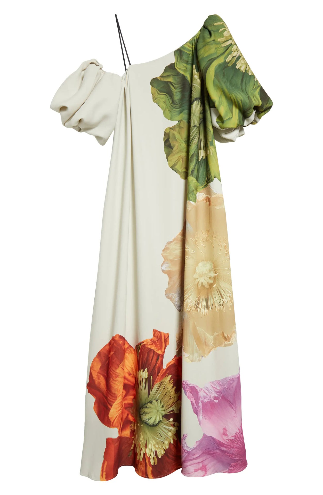 Floral Asymmetrical Neck Balloon Sleeve Maxi Dress