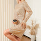 Twisted Long Sleeve Ruched Mini Sequin Dress