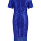 Tassel Sequin Short Sleeve Dress