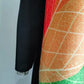 Miyake Pleated Color Block Long Sleeve Shirt Dress