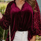 Sequin Notched Long Sleeve Blouse