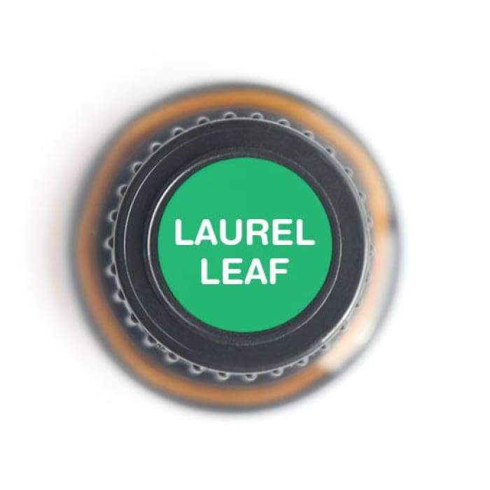 Laurel Leaf Pure Essential Oil - 15ml