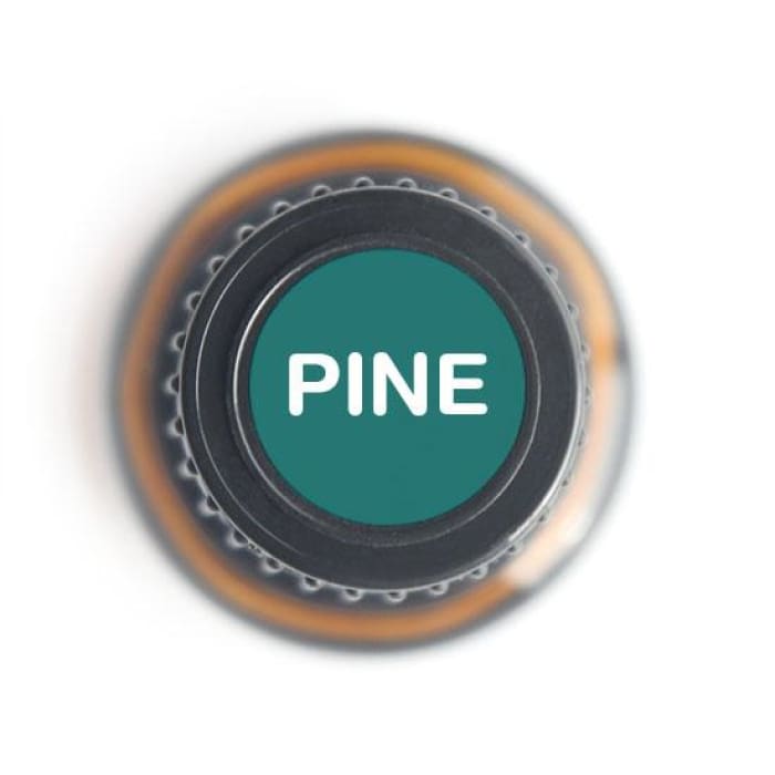 Pine Pure Essential Oil - 15ml