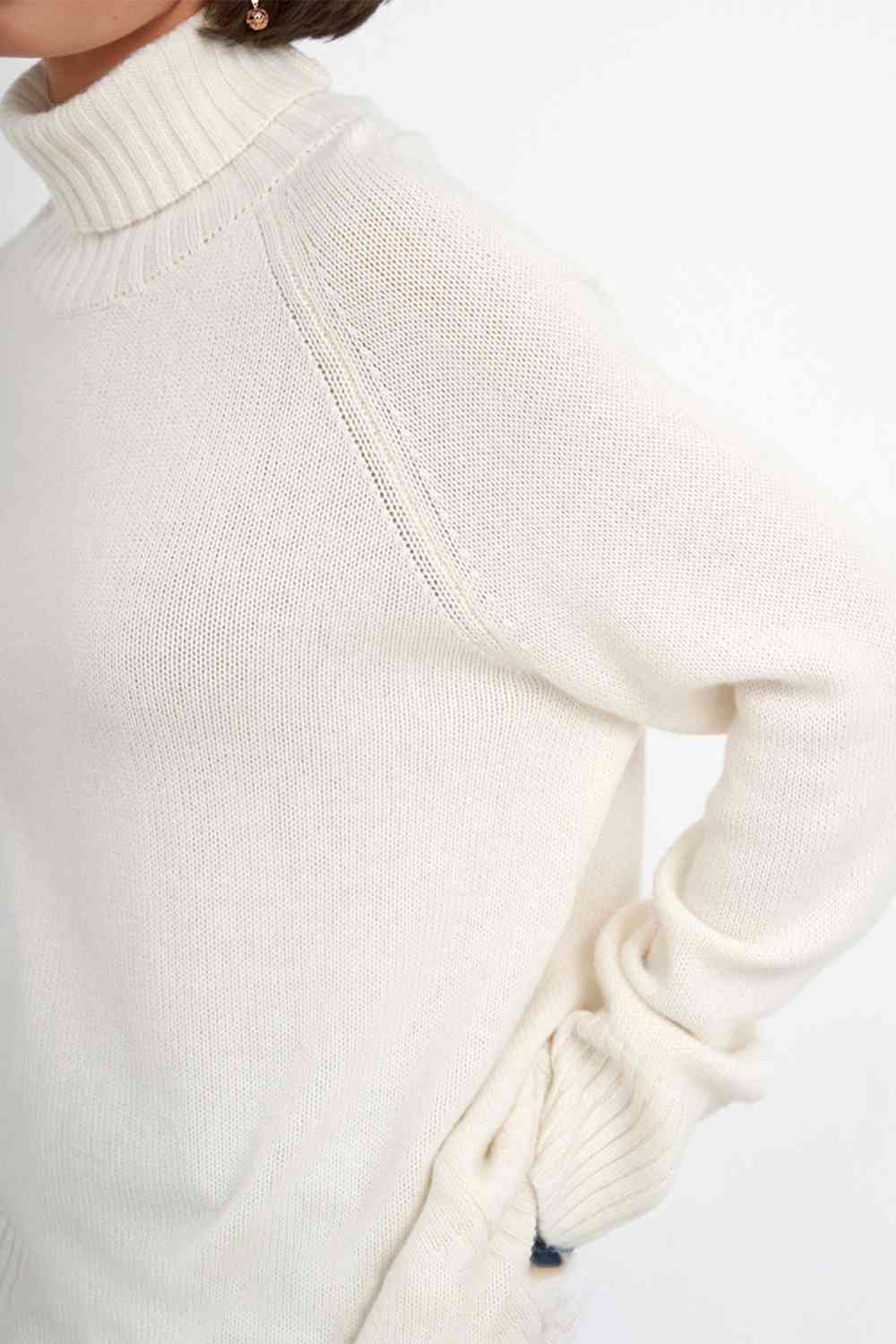 Turtle Neck Raglan Sleeve Sweater